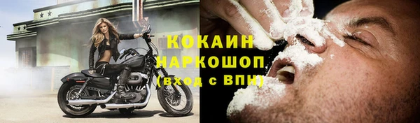 эйфоретик Бородино
