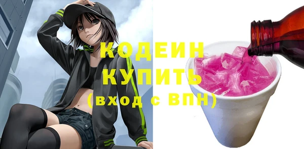 эйфоретик Бородино