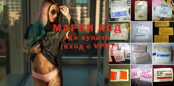 эйфоретик Бородино