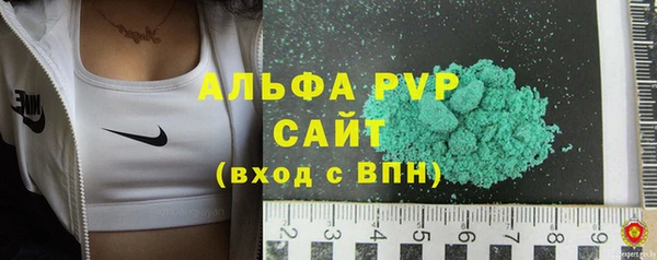 эйфоретик Бородино