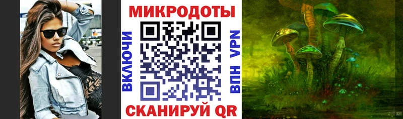 дарнет шоп  Балашиха  hydra зеркало  Псилоцибиновые грибы Psilocybe 