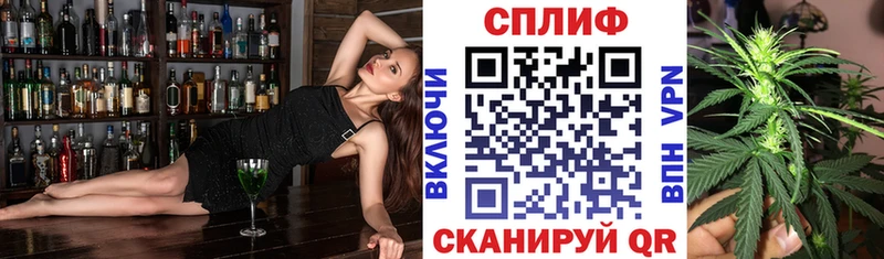 Шишки марихуана семена наркотики Балашиха